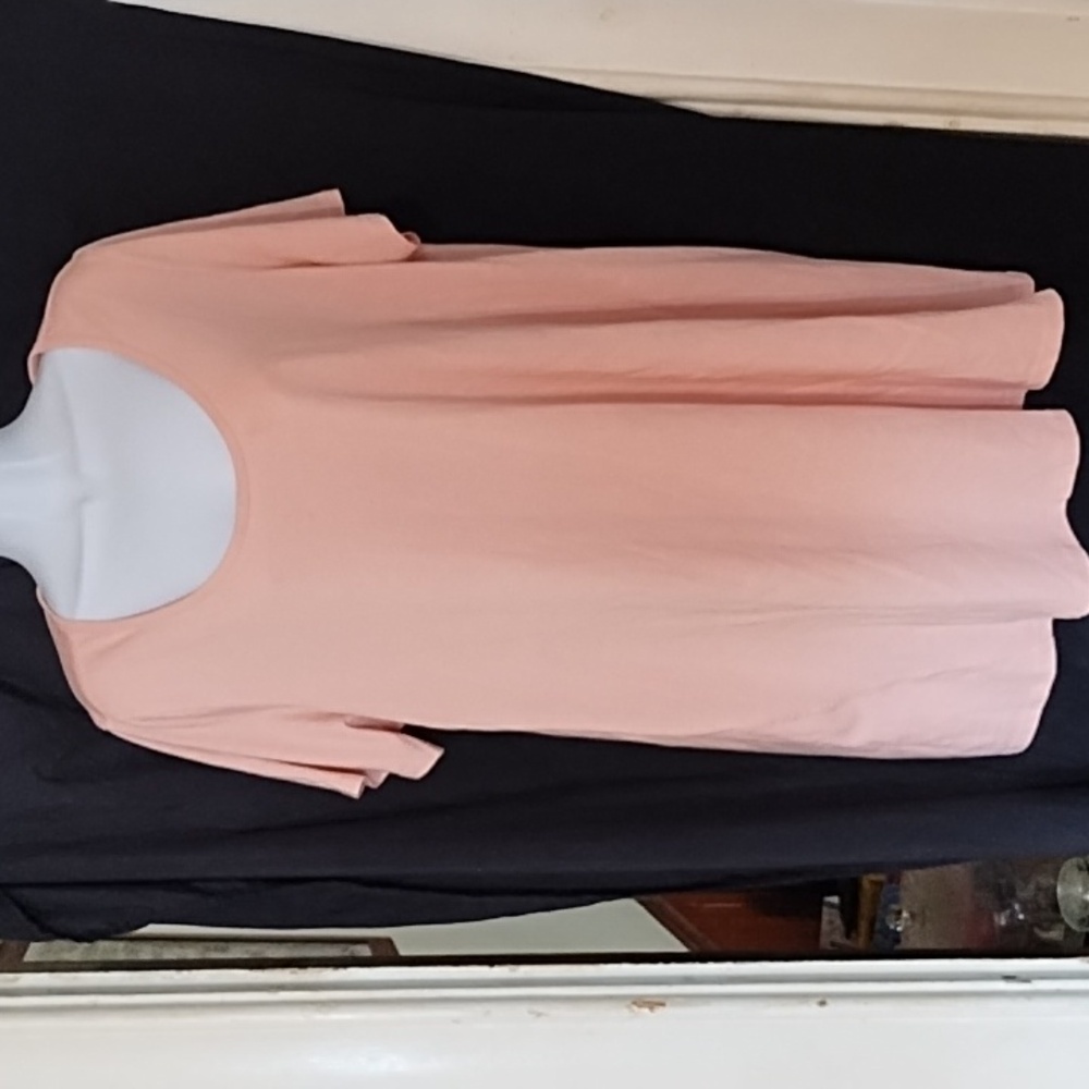 Roaman's Pink Short Sleeve Blouse Sz L (18/20) (J)